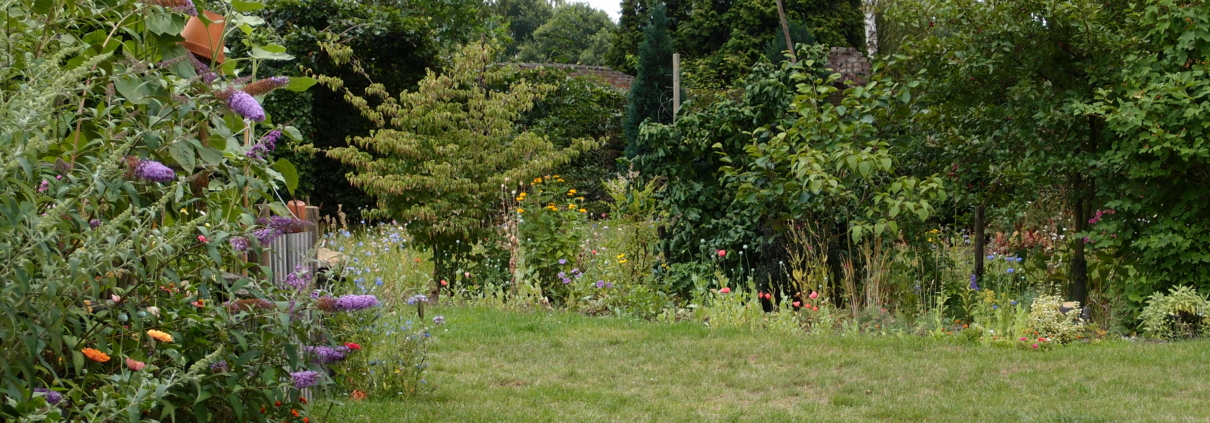 Blog meditatietips voor beginners, tuin Weert